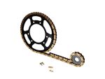 Tandwielenset 14/53 met AFAM Goud ketting voor Motorhispania, Rieju en Yamaha